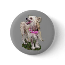 Chinese Crested Dog buttons