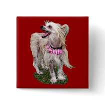 Chinese Crested Dog buttons