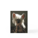 Chinese Crested dog cards