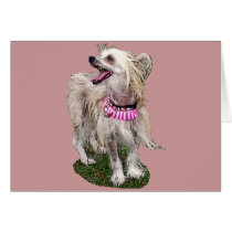 Chinese Crested Dog cards