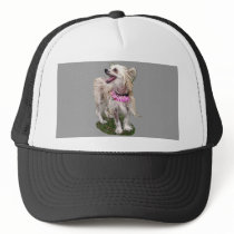 Chinese Crested Dog hats
