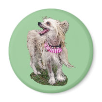 Chinese Crested Dog magnets
