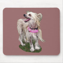 Chinese Crested Dog mousepads