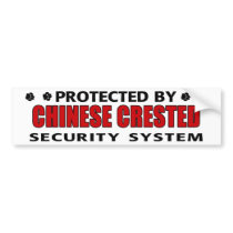 Chinese Crested Dog Security bumper stickers