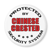 Chinese Crested Dog Security magnets by DanesRUs Chinese Crested Dog Security magnets