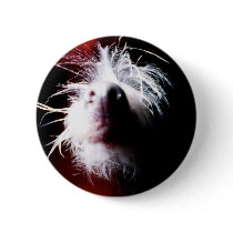 Chinese Crested Fisheye buttons by dfunkdamager Chinese Crested Fisheye buttons