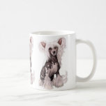 Chinese Crested Hairless Sit Mug