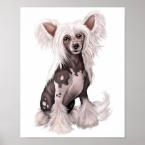 Chinese Crested Hairless Sit Print