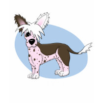 Chinese Crested Ladies Twofer Shirt