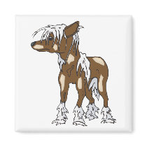 Chinese Crested magnets