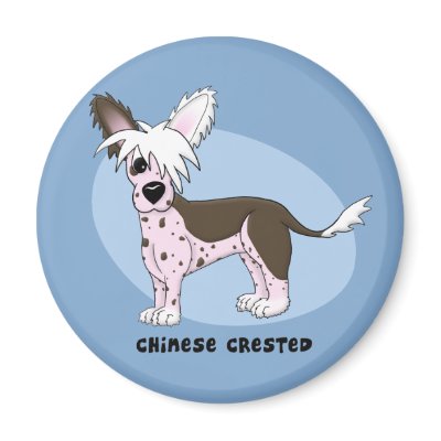 Chinese Crested Magnet by MenagerieMayhem