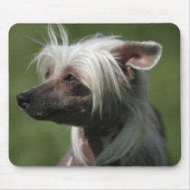 Chinese Crested Mousepad mousepads