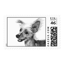 Chinese Crested Stamps
