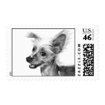 Chinese Crested postage