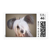 Chinese crested postage