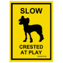 Chinese Crested Slow At Play T-Shirt