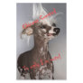 Chinese Crested So Ugly I'm Cute Personalized Stationery