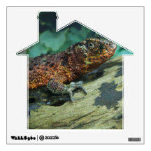 Chinese Crocodile Lizard Room Sticker