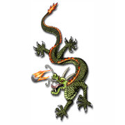 Chinese Dragon and Pearl shirt