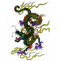 Dragon T-Shirts