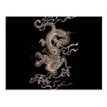 Chinese Dragon Post Cards