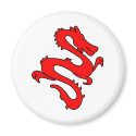 Chinese Enter The Dragon Kung Fu Symbol magnets