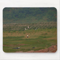 Chinese farmers mousepads