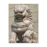 Chinese Female Guardian Lion Postcard