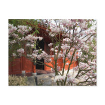 chinese garden postcards