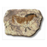 Chinese Horse stone postcard