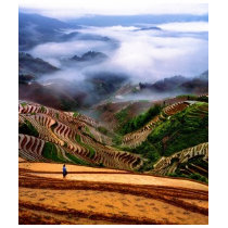 Chinese landscape t-shirts