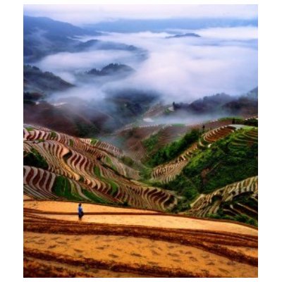 Chinese landscape shirt by Caiwilsh
