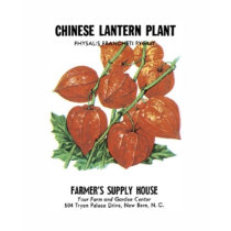 Chinese Lantern Plant, Farmer's Supply House t-shirts by vintagegiftmall Chinese Lantern Plant, Farmer's Supply House t-shirts