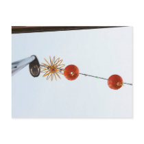 Chinese Lantern Postcard