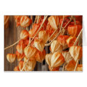 Chinese Lanterns cards
