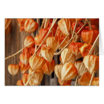 Chinese Lanterns cards
