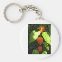 Chinese Lanterns Key Chains
