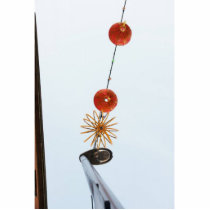 chinese lanterns photo sculptures