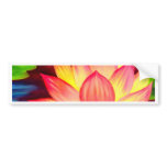 Chinese Lotus Water Lily Flower Art - Multi Bumper Stickers