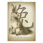 Chinese New Year Rabbit 2011 Calendar Card