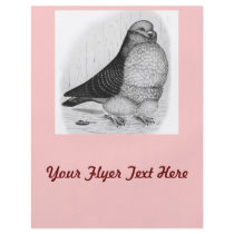 Chinese Owl Ink Drawing Flyers