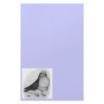 Chinese Owl Ink Drawing Stationery Design