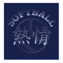 Chinese Passion Softball posters