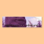 Chinese Proverb Bumper Sticker bumper stickers