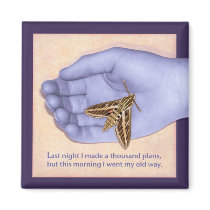 Chinese Proverb with surreal twist magnets
