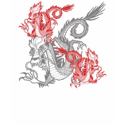 Chinese Red Dragon T Shirt by Method77