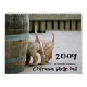 Chinese Shar Pei 15 Month Calendar calendar