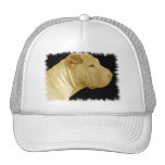 Chinese Shar-Pei Baseball Hat