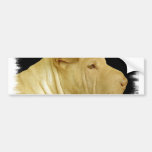 Chinese Shar-Pei Bumper Sticker