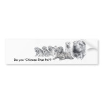 Chinese  Shar Pei bumper stickers